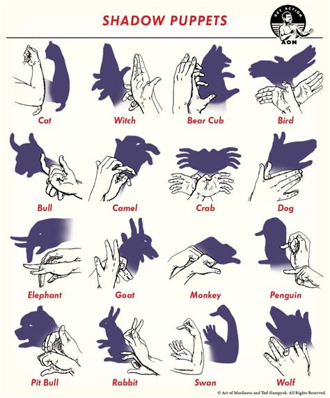 shadow puppets surveillance|3 Ways to Make Shadow Puppets .